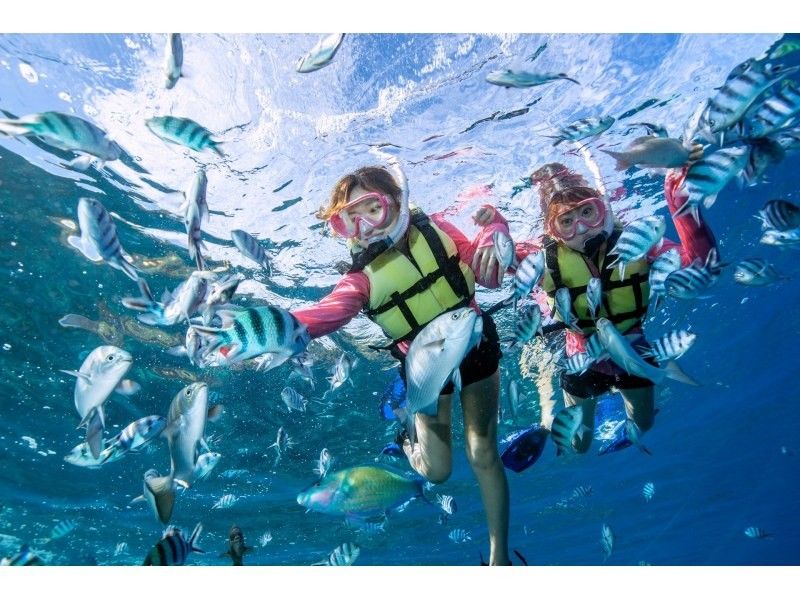 [Blue Cave & Churaumi Aquarium] \ Boat departure / Blue Cave snorkel + aquarium ticket included | Feeding experience included | Photo gift ♡の紹介画像