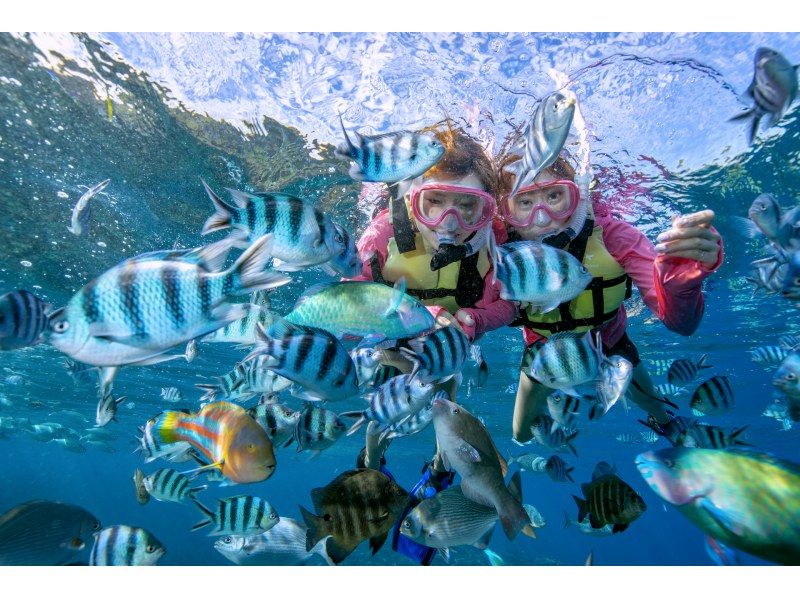 [Blue Cave & Churaumi Aquarium] \ Boat departure / Blue Cave snorkel + aquarium ticket included | Feeding experience included | Photo gift ♡ Super Summer Sale 2024の紹介画像