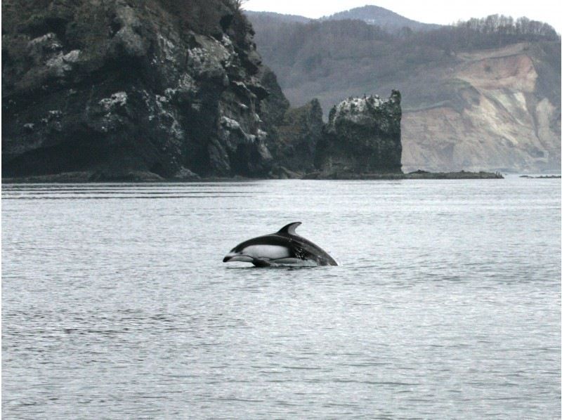 【北海道・小樽】元祖！小樽青の洞窟クルーズの紹介画像