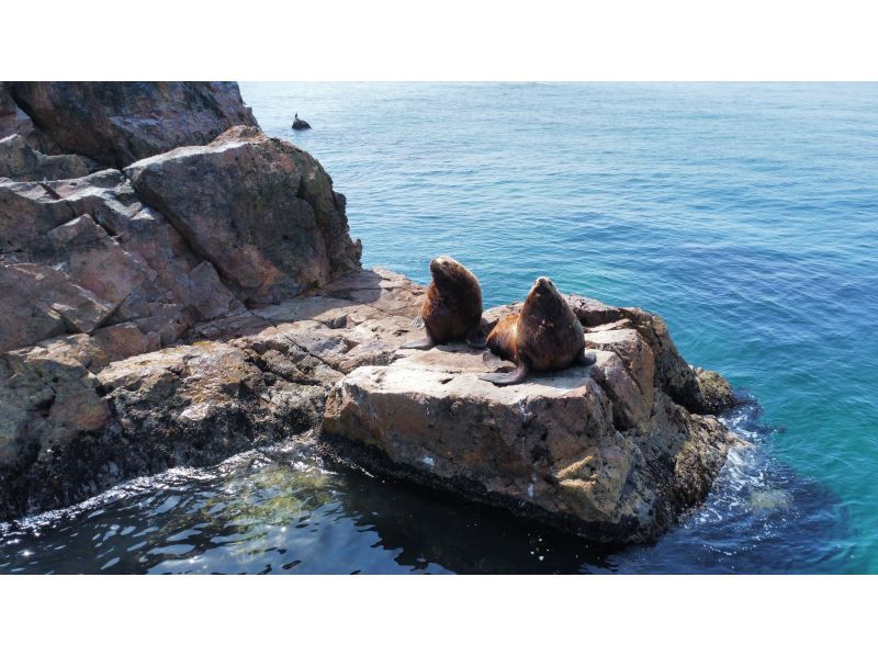 【北海道・小樽】元祖！小樽青の洞窟クルーズの紹介画像