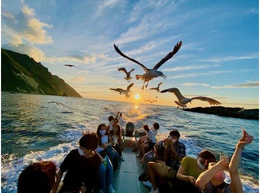 SEAGULL 海嶋 4B-1 二眼レフカメラ 黒SEAGULL4B-1 海嶋 Amazon |