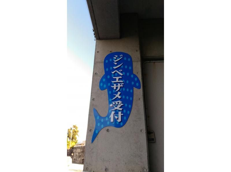 【沖縄・読谷村】ジンベエザメと泳ごう！FUNダイビングツアーの紹介画像