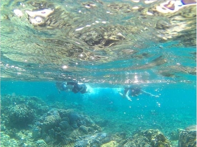[冲绳北/国头村]指定为Yanbaru国家公园冲绳探索北部无人居住的岛屿SUP +浮潜の紹介画像