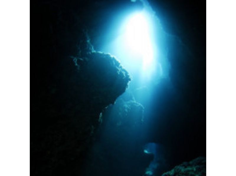 [冲绳·恩纳村】你想成为一名水下摄影师吗？有趣的海滩深潜（1到4次潜水）の紹介画像