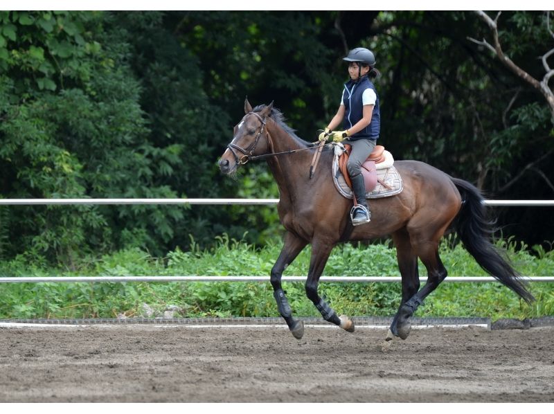 関東の乗馬初心者におすすめな日帰り体験プランを徹底紹介！