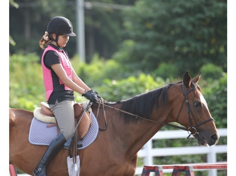 【茨城・守谷】ステップアップした乗馬を楽しむ！ビジターレッスン（1回コース）の紹介画像