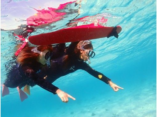 沖縄 石垣島 キラキラな海とカラフルな熱帯魚の世界へ サクッと遊べる半日シュノーケリングツアー アクティビティジャパン