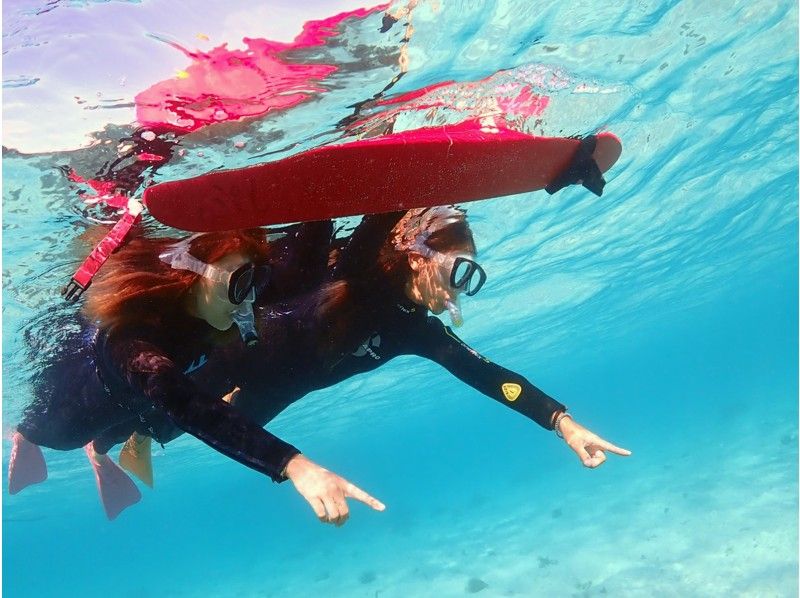 [冲绳石垣岛]通往闪闪发光的海洋和色彩斑tropical的热带鱼的世界！半天浮潜之旅，您可以快速玩！の紹介画像