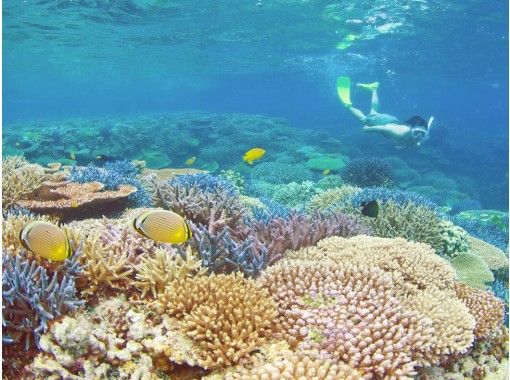 沖縄 石垣島 キラキラな海とカラフルな熱帯魚の世界へ サクッと遊べる半日シュノーケリングツアー アクティビティジャパン