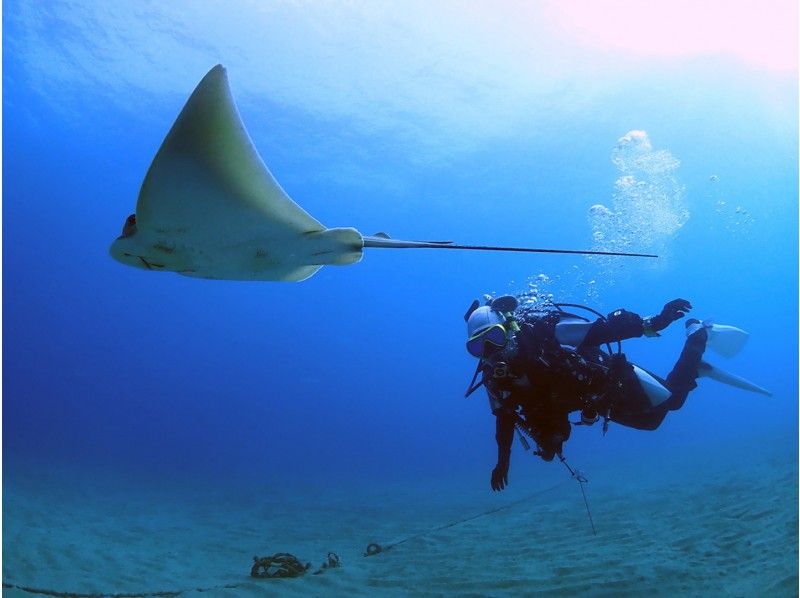 Osezaki Diving spot