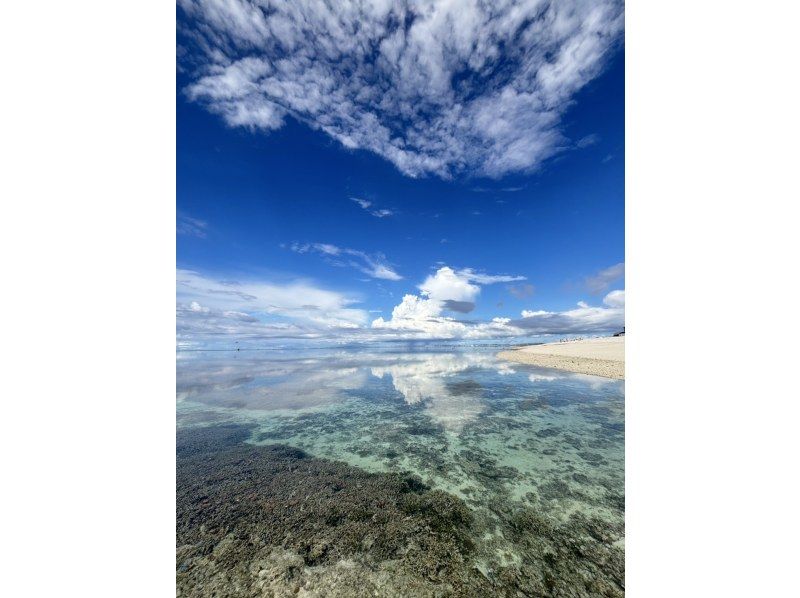  [ 오키나와 &middot; 나하 ] 나간누 섬 상륙! 바다 수 목욕 투어 の紹介画像