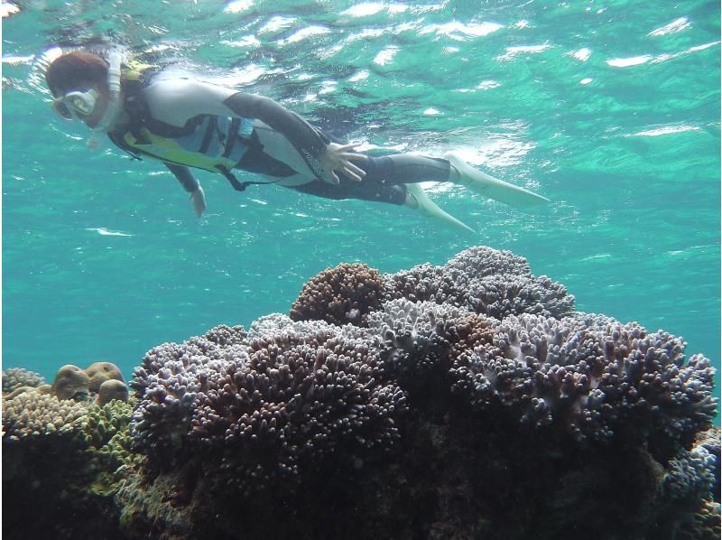  [ 오키나와 &middot; 나하 ] 나간누 섬 상륙! 바다 수 목욕 투어 の紹介画像