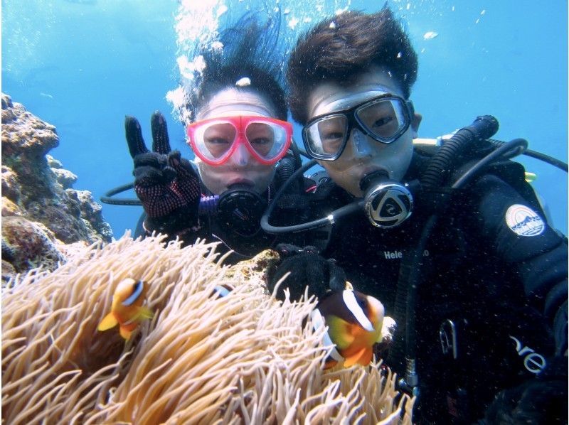 【沖縄・恩納村】初めてのダイビングでもゆったり安心！ボートで熱帯魚パラダイス体験ダイビングの紹介画像