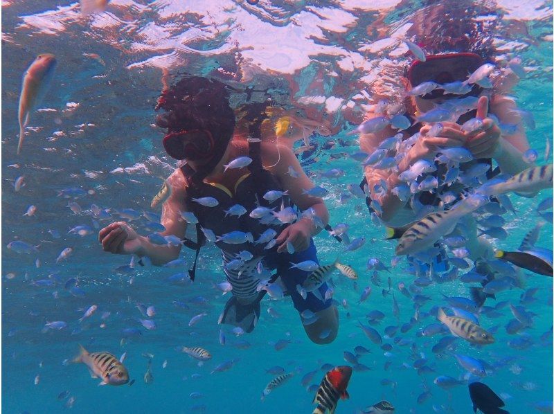 [โอกินาว่า・ อิชิกากิจิมะ] ในเกาะผีการดำน้ำตื้น(Snorkeling)ประสบการณ์ (หลักสูตร: หลักสูตรครึ่งวัน)の紹介画像