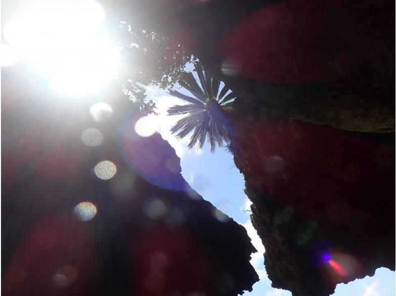 [沖縄-石垣島]浮潛＆Blue cave·島民回憶之旅（B課程：半天課程）の紹介画像