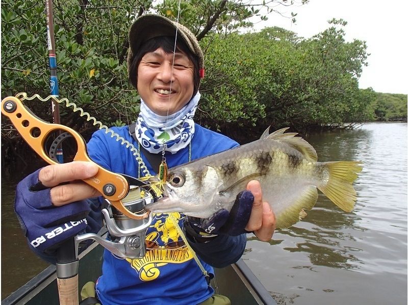 [Okinawa Iriomote-fishing] trying to win three of the river! Mangrove Jack TOP gameの紹介画像