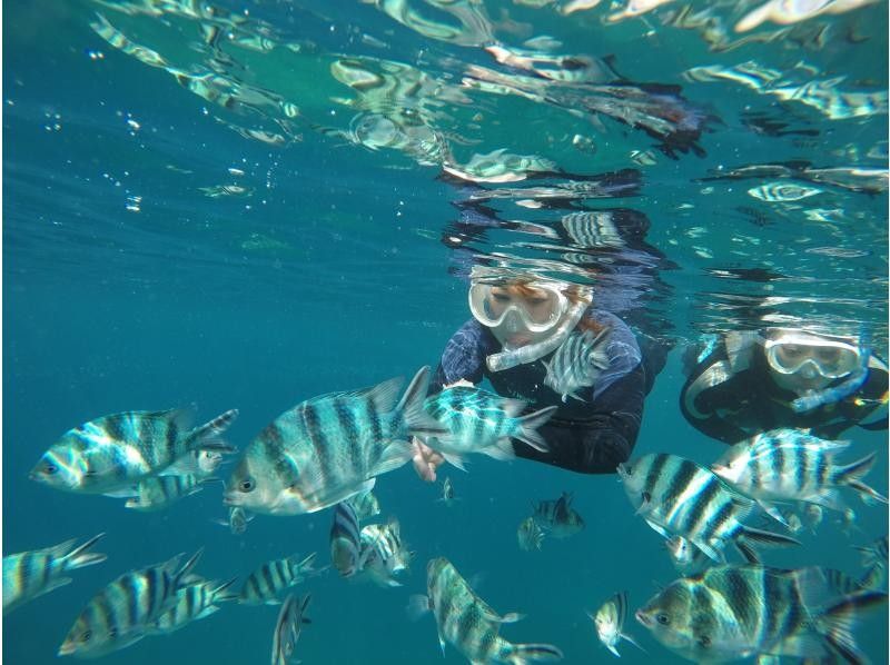 Exclusive guide for one group [Okinawa, Chatan] Boat snorkeling 4 times a day! Private guide for one group at your choice of time! Free photo! Recommended for families, friends, and couplesの紹介画像
