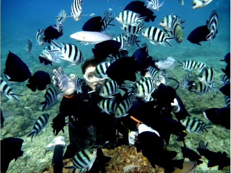 [冲绳·主岛]半天2深潜课程。习惯第一个并潜入第二个。の紹介画像