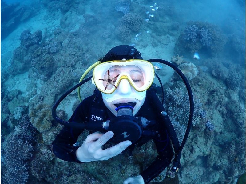[Okinawa ・ Main Island]half-day 2 Diving course. Get used to the first one and dive into the second one.の紹介画像