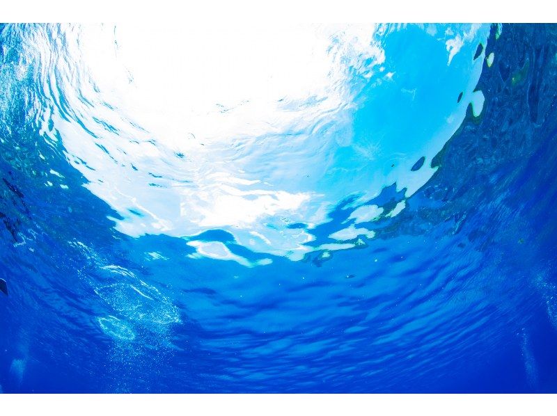 [冲绳·主岛]半天2深潜课程。习惯第一个并潜入第二个。の紹介画像