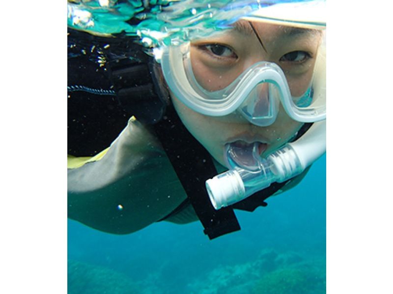 [沖縄-石垣島]免費組合！浮潛＆花式滑水板經驗（1天課程，午餐！）の紹介画像