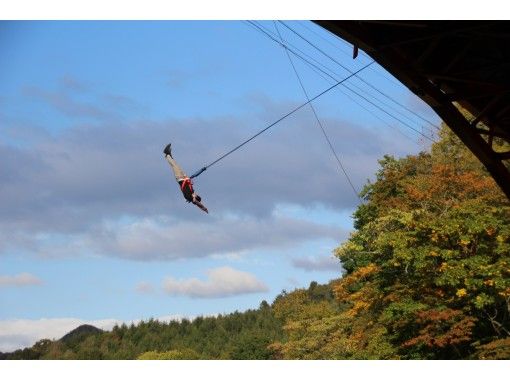 北海道 日高 川に向かってジャンプ ブリッジスウィング アクティビティジャパン