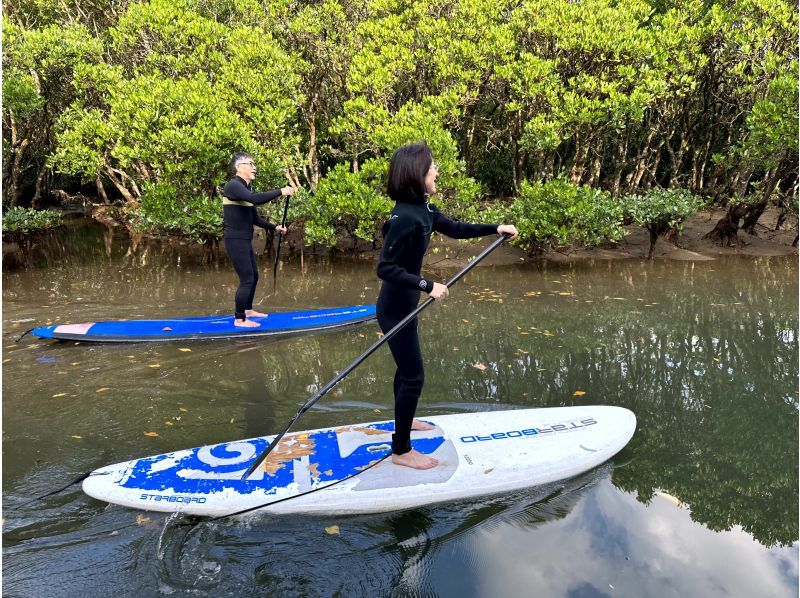 [Kagoshima ・ Amami Oshima] SUP experience mangrove tour (4 hours, up to 4 people)