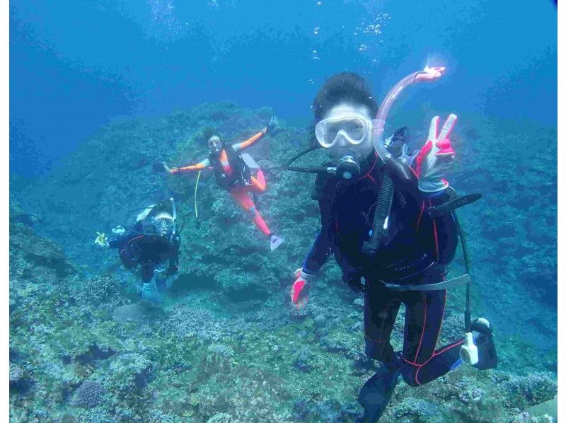 [From Ishigaki island and Kabira Bay] Reliable small Number of participants fan Diving! Request and enjoy the terrain on coral and manta by Diving at your own pace!の紹介画像