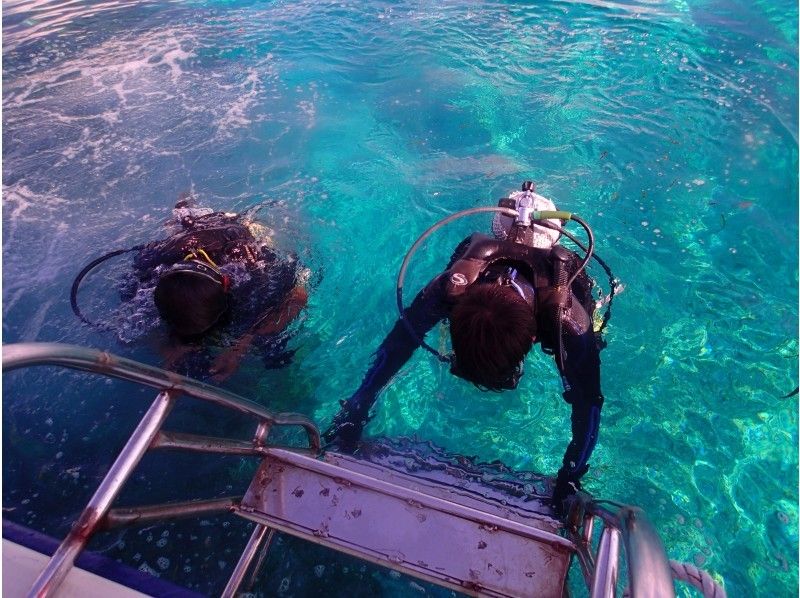 반나절 (AM or PM)도 대만족! 산호초 & 만타 포인트 체험다이빙2DIVE 코스の紹介画像