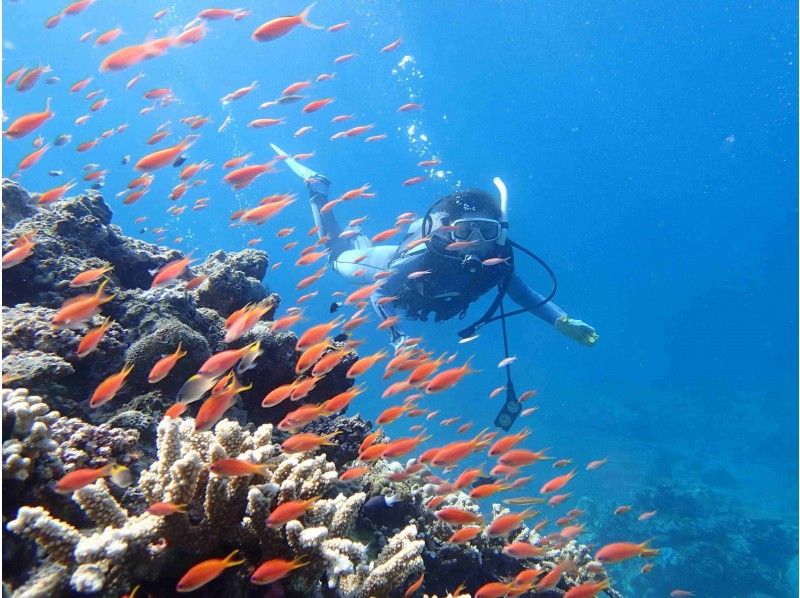 石垣岛推薦的潛水商店清單和熱門旅遊排名