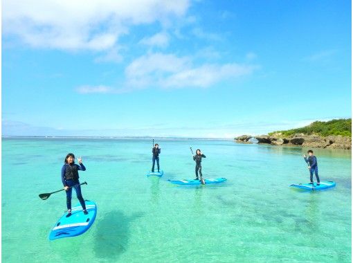 沖縄北部 本部町 シーカヤック 美ら海水族館近く 沖縄の自然を満喫 のんびりカヤックツアー アクティビティジャパン
