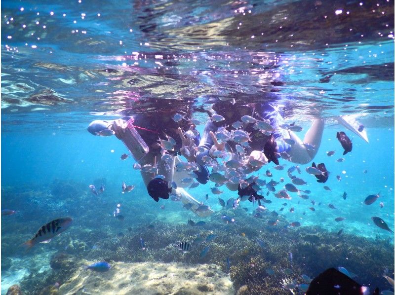 [冲绳北/ Yanbar]享受大自然！ SUP＆浮潜课程（150分钟）の紹介画像