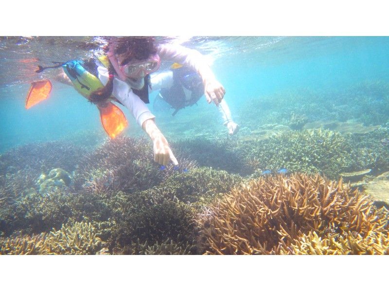 [Okinawa Northern / Yanbar] Enjoy nature! SUP &Snorkeling Course (150 minutes)の紹介画像