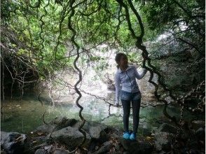 プランの魅力 A little-known spot that even the locals don't know much about! の画像