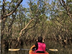 プランの魅力 During high tide, go around narrow waterways and tunnels! の画像