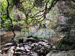 プランの魅力 在漲潮時，繞過狹窄的水道和隧道！ の画像