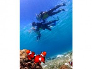 プランの魅力 Observe anemone fish の画像