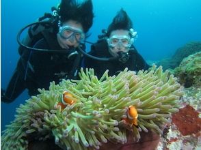 プランの魅力 大きく広がる自分の海中世界 の画像