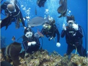 プランの魅力 熱帯魚に餌あげ の画像