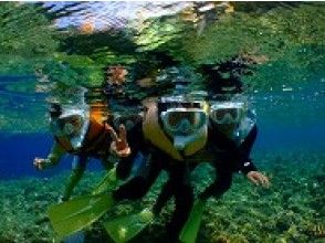 プランの魅力 Snorkel together の画像