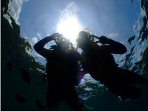 プランの魅力 大家和太陽 の画像