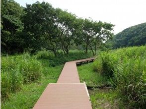 プランの魅力 Walk around Koajiro no Mori の画像