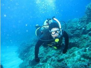 プランの魅力 潮の流れの変化がある難易度の高いスポット の画像