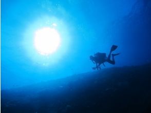 プランの魅力 Many popular diving spots の画像