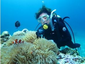 プランの魅力 這是您可以享受潛水的旅遊 の画像