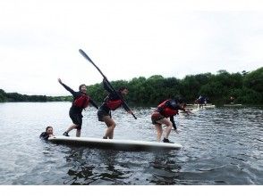 プランの魅力 一人に飽きたらみんなで遊べる の画像