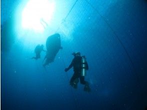 プランの魅力 如果您有执照 の画像