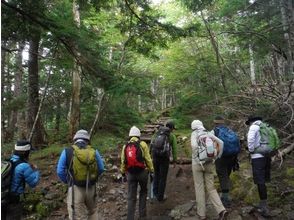 プランの魅力 樹林帯を抜けて行きます の画像