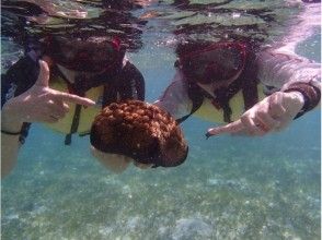 プランの魅力 어린이의 호기심을 기릅니다 の画像