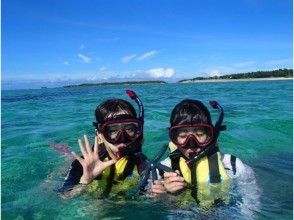 プランの魅力 Sea cucumbers and starfish ... の画像